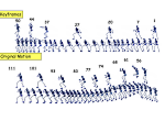 Keyframe extraction research image