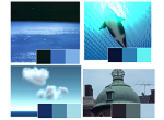 Index color extraction image