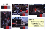 Image retrieval using index color image